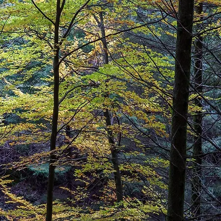 Serravale - House & Nature