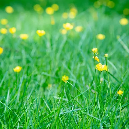 Serravale - House & Nature Landsted Manteigas