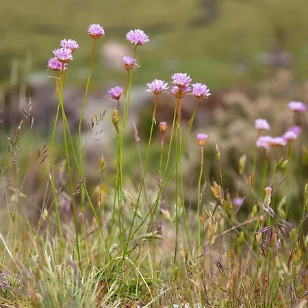 Serravale - House & Nature Мантейгас
