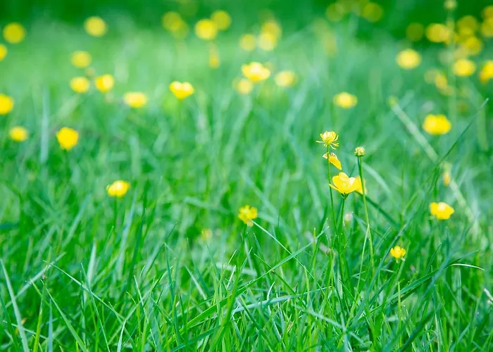 Serravale - House & Nature Casa de Campo Manteigas