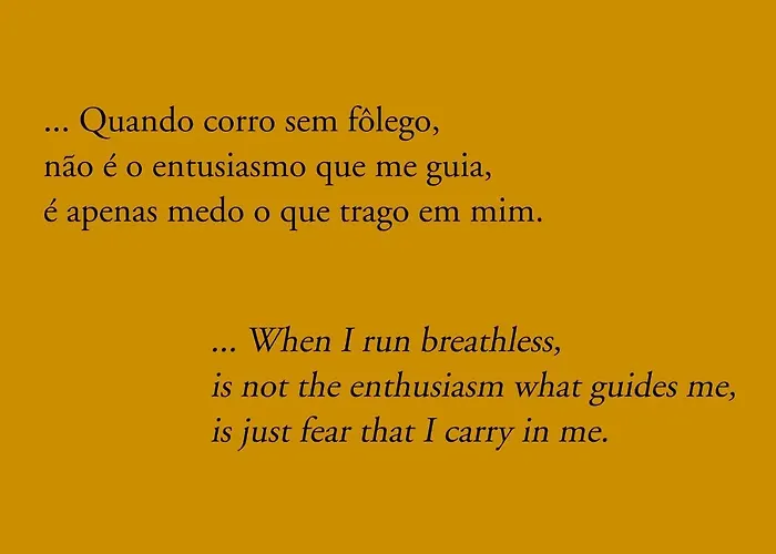 Casa de Campo Serravale - House & Nature