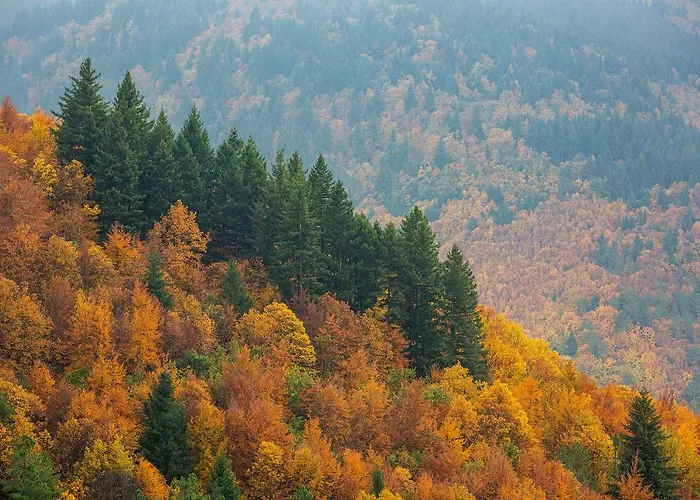 Serravale - House & Nature