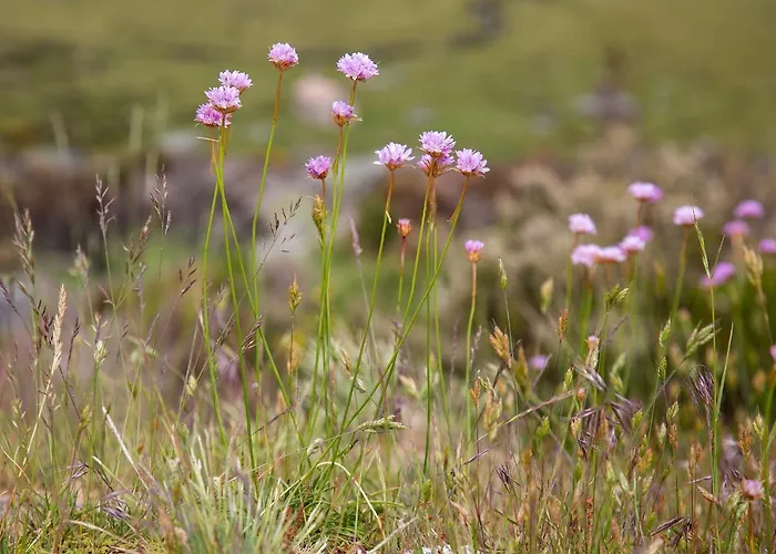 Serravale - House & Nature Manteigas